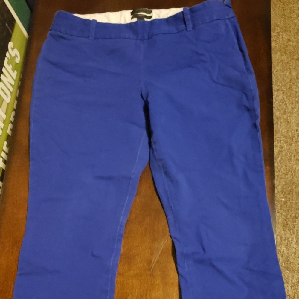 JCrew Blue Pants
